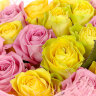 51 желтая и розовая роза