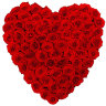 101 красная роза в виде сердца