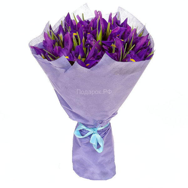 Букет фиолетовых ирисов