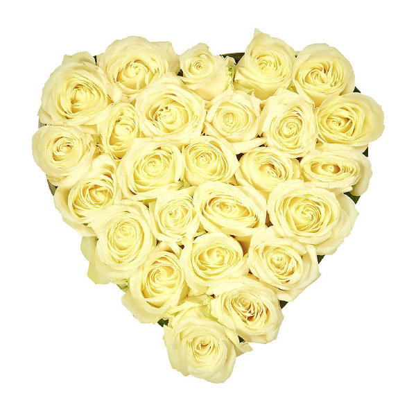 25 белых роз в виде сердца