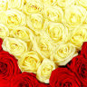 Сердце из 51 белой и красной розы