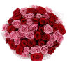 51 красная и розовая роза