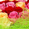 21 розовая, кремовая и красная розы