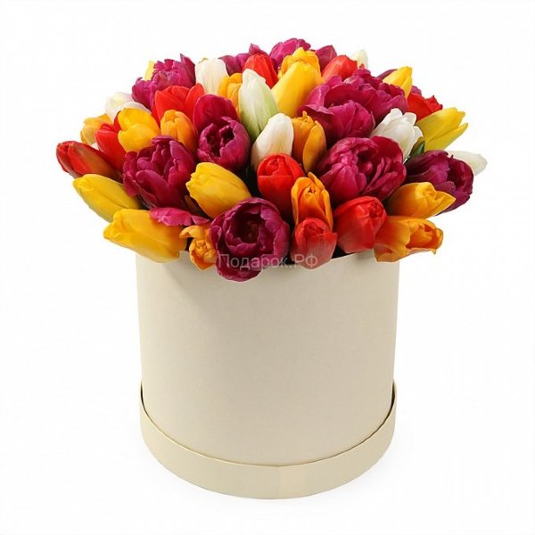 51 разноцветный тюльпан в шляпной коробке