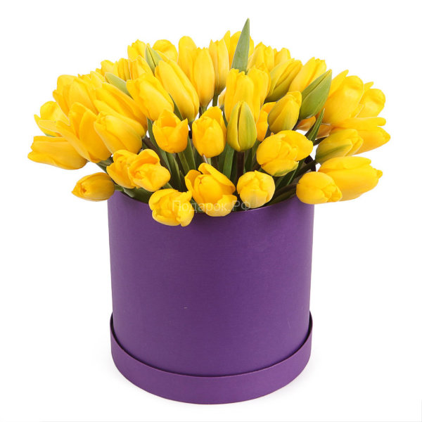 Букет из 51 желтого тюльпана в шляпной коробке