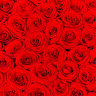 151 красная роза в виде сердца