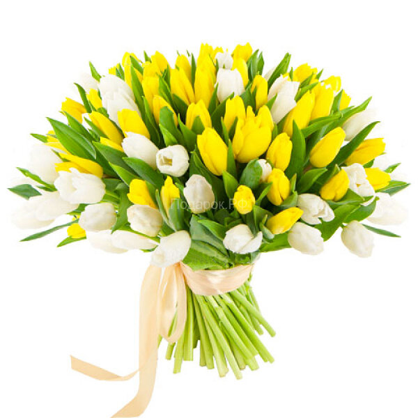 Букет из 101 белых и желтых тюльпанов