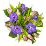 Букет тюльпанов и орхидей
