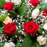 15 красных и белых роз с зеленью
